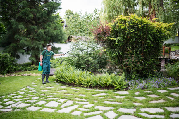 Best Landscape Design and Installation  in Minneapolis, MN