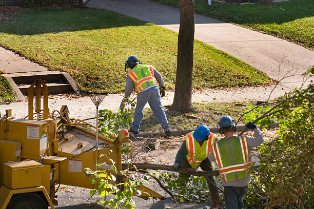 Best Lawn Fertilization  in Minneapolis, MN