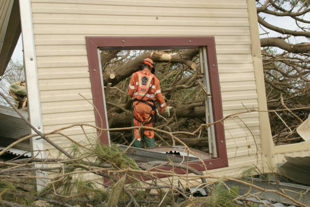 Professional Tree Services in Minneapolis, MN