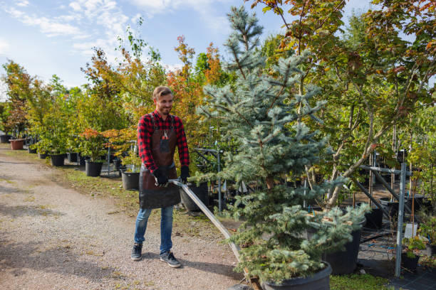 Best Aeration Services  in Minneapolis, MN